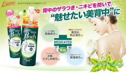 日本問屋直發(fā) 日本化妝品批發(fā) SANA Esteny系列 薄荷祛痘沐浴露 - 日本問屋直發(fā) 日本化妝品批發(fā) SANA Esteny系列 薄荷祛痘沐浴露廠家 - 日本問屋直發(fā) 日本化妝品批發(fā) SANA Esteny系列 薄荷祛痘沐浴露價格 - TOKUSYOU TRADE CO. - 